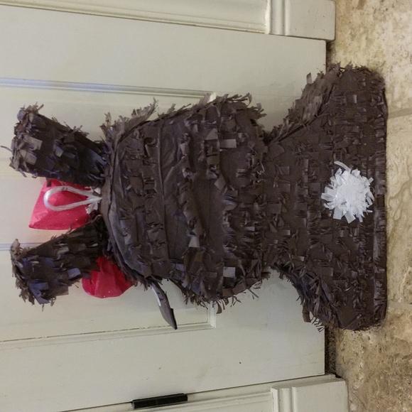 Pinata - Picture 2 of 4